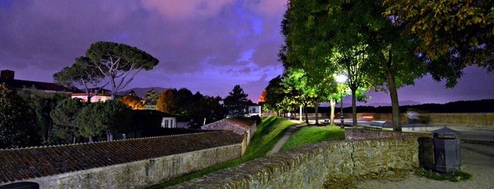 Le Mura di Lucca is one of Tempat yang Disukai Gianluigi.
