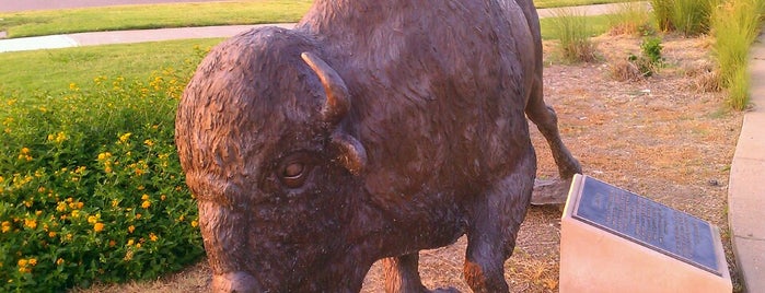 Public Art- FRISCO, American Bison is one of Preston Rd- FRISCO,TEXAS.