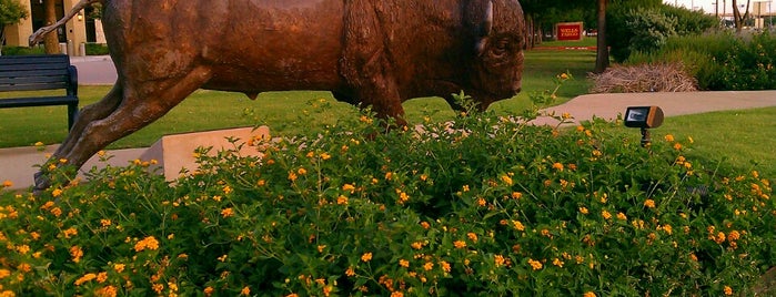 Public Art- FRISCO, American Bison is one of Preston Rd- FRISCO,TEXAS.