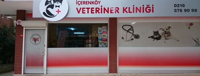 İcerenkoy Veteriner Klinigi is one of Gizem'in Beğendiği Mekanlar.