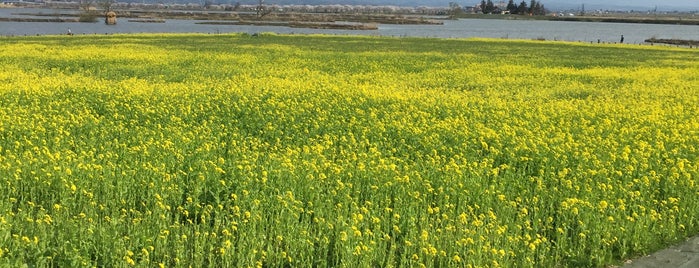 Fukushimagata Lagoon is one of 新潟旅行候補地.