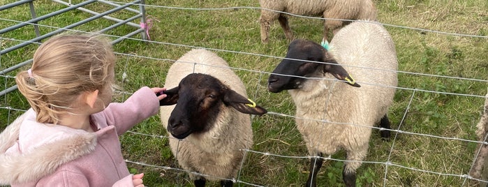 Church Farm is one of Activities&parks near hemel.