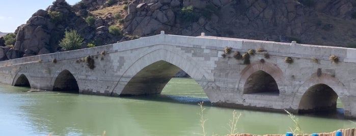 Çeşnigir Köprüsü is one of Lugares favoritos de K G.