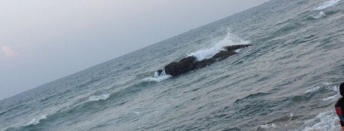 Beach is one of Sri'nin Beğendiği Mekanlar.