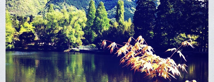 Lake Kinrin is one of JAPAN Kyushu.