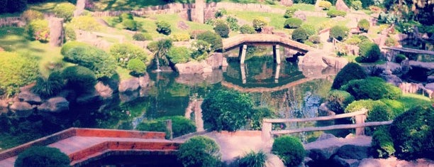 Jardín Japonés is one of Lugares favoritos de Gilberto.