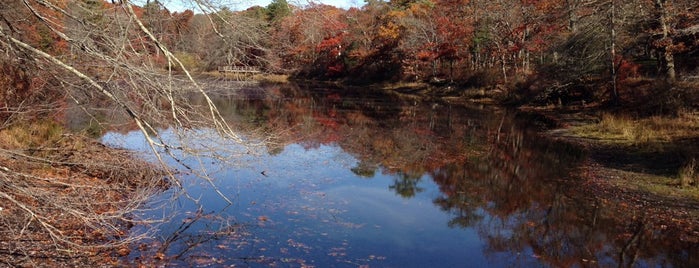 Ridge Environmental Conservation Area is one of Long Island Outdoors.