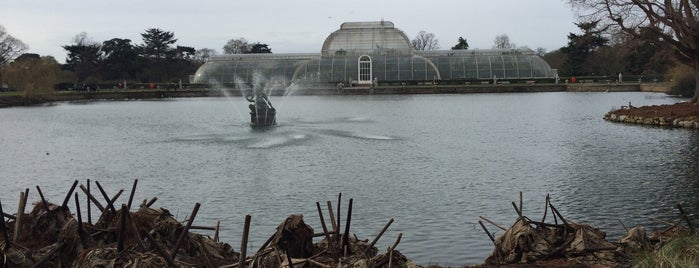 Palm House is one of Kid Friendly London.