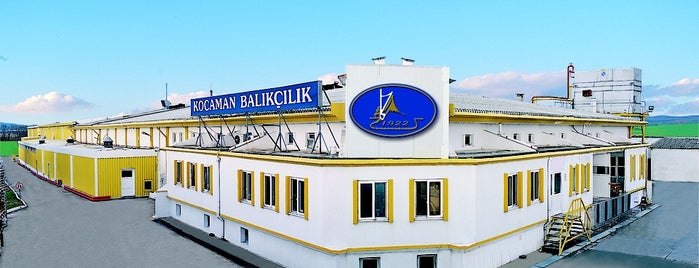 Kocaman Balikcilik is one of Tempat yang Disimpan Deniz.