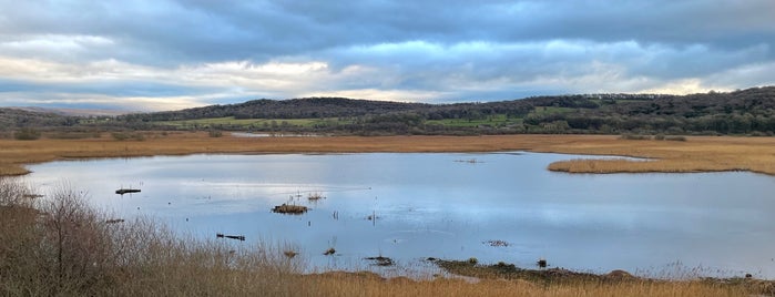 Leighton Moss RSPB Reserve is one of Explore nature.