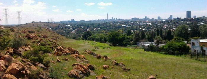 Melville Koppies is one of Johannesburg.