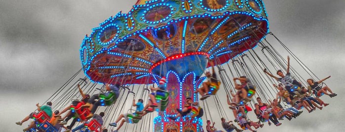Electric Daisy Carnival EDC Brasil is one of Rômulo : понравившиеся места.