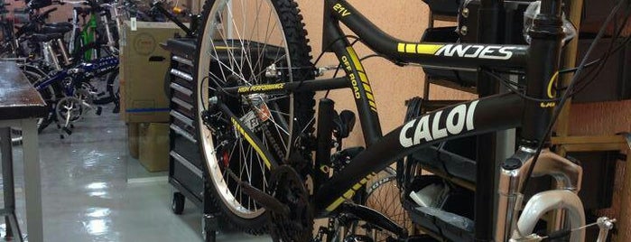 Xandy Molina Bike & Service Bicicletaria is one of Locais curtidos por Erico.