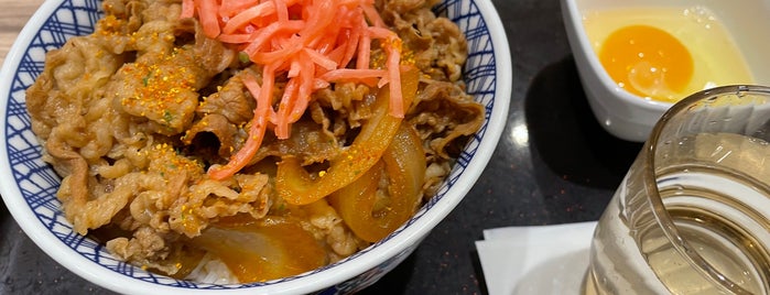 Yoshinoya is one of 大都会新座.