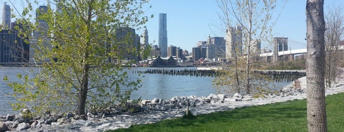 Brooklyn Bridge Park is one of New York City.