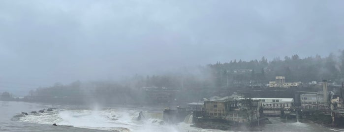 Willamette Falls is one of Lugares guardados de Stacy.
