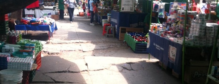 Tianguis de los domingos. is one of Locais curtidos por Julio.