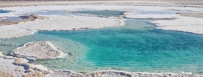 Laguna Baltinache is one of Чили.