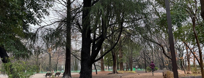 林試の森公園 is one of Yongsukさんの保存済みスポット.