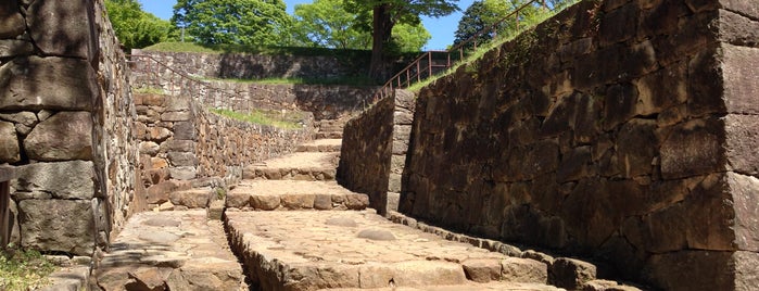 Kanayama Castle Ruins is one of 日本100名城.