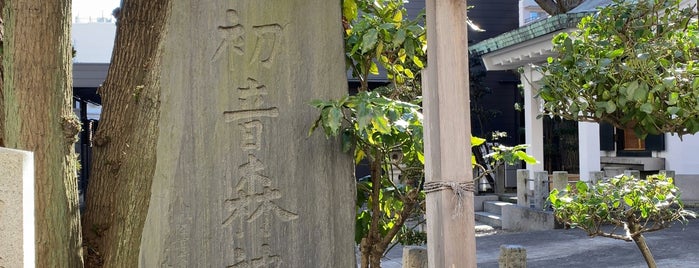 初音森神社 is one of deep tokyo.