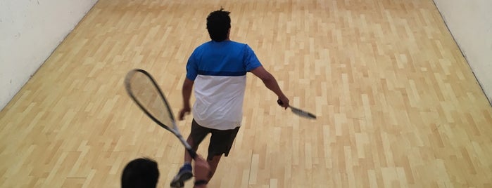 Natación y Squash Coyoacan is one of Martinさんのお気に入りスポット.