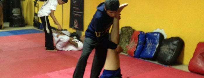 Kick Boxing, Capoeira y MMA Intercontinental Velodromo is one of Martin'in Beğendiği Mekanlar.