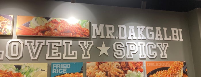 Mr. Dakgalbi is one of Places I've Tried And Ok With.