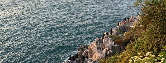 Doktorlar Lokali Zonguldak is one of Zonguldak.