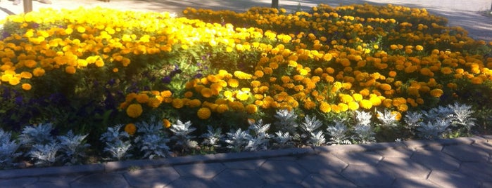 Проспект Женис is one of Streets and Avenues of Astana.