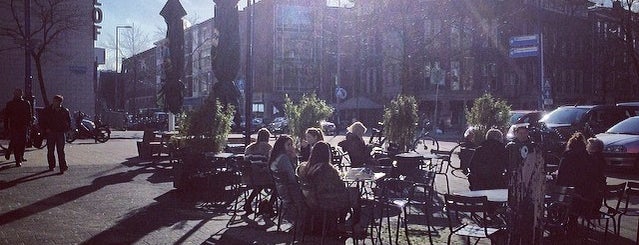 Sunny Terraces in Rotterdam