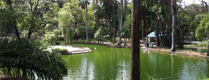 Parque Municipal Américo Renné Giannetti is one of Brazil.