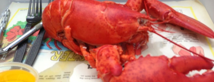 Alive & Kicking Lobsters is one of New England.