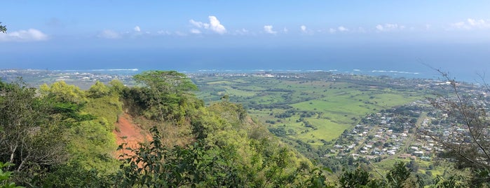 on top of Sleeping Giant is one of Kauai.