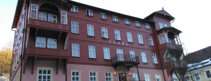 Lázeňský hotel Terra *** is one of Janské Lázně.