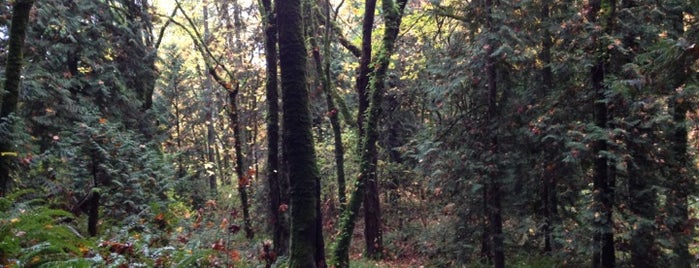 Timberlake Park is one of Doug'un Beğendiği Mekanlar.