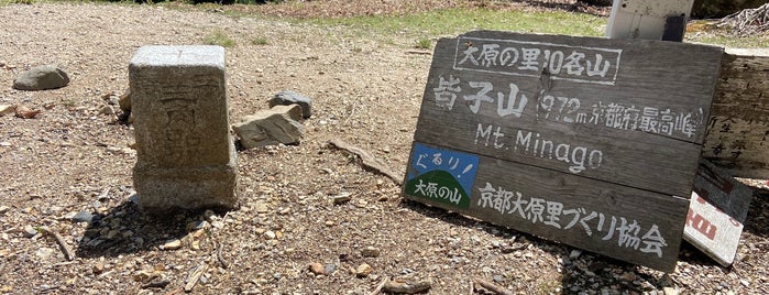 皆子山 is one of 近畿百名山.