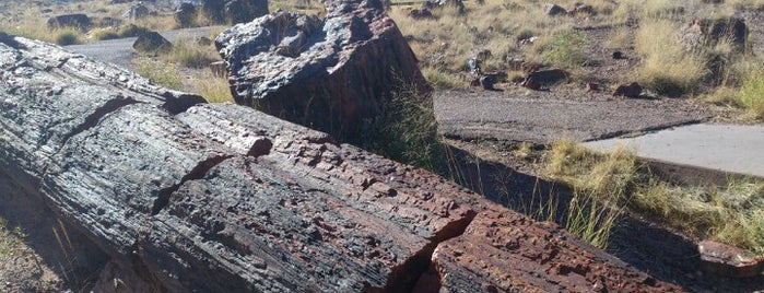 Petrified Forest National Park is one of Distant Pleasures.