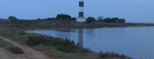 Far de La Punta de La Banya is one of Delta del Ebro.