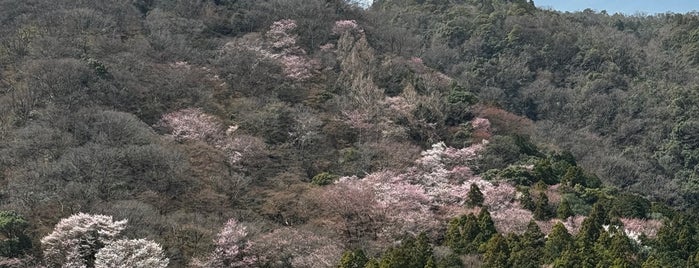 大河内山荘 is one of Kyoto.