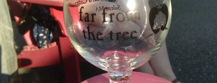Far From the Tree Craft Cider is one of Nightlife 2 Bars Mixology.
