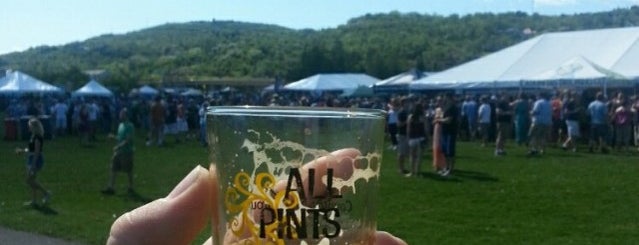 All Pints North Beer Fest is one of Duluth.