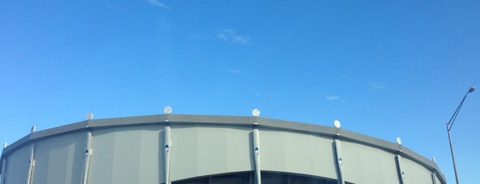 Tropicana Field is one of Tampa/St. Pete.