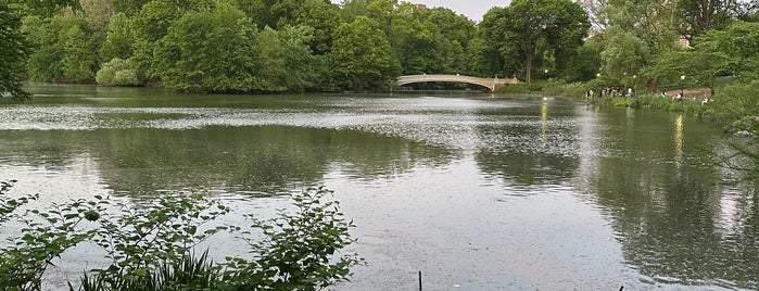 The Lake is one of Central Park.