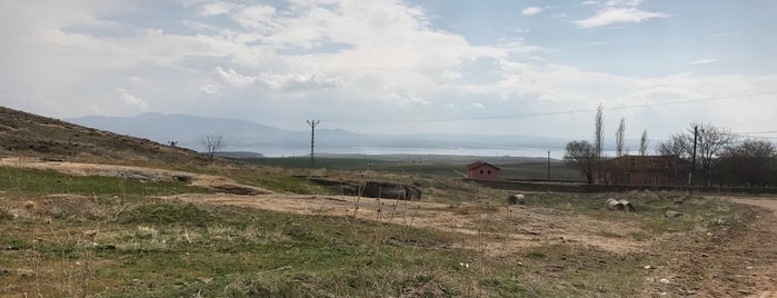 Savcılı Kışla Koyu is one of Orte, die Mustafa gefallen.