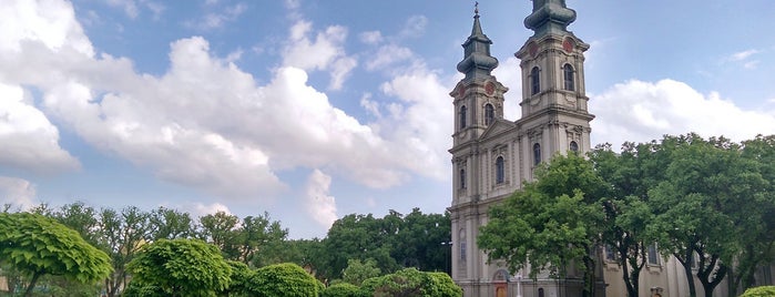 "Velika crkva" | Katedrala Sv. Terezije Avilske is one of Cultural Monuments in Subotica.