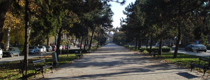 Radijalac is one of Parks in Subotica.