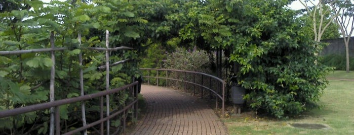 Parque da Vila Guilherme / do Trote is one of Praças algo ‘dog friendly’ em sampa.