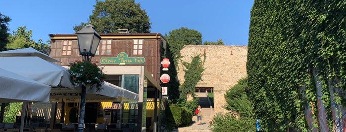 Oliver Twist Pub is one of Zagreb Good Bars.