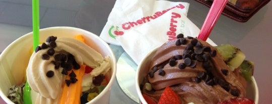 CherryBerry Yogurt Bar is one of favorite.